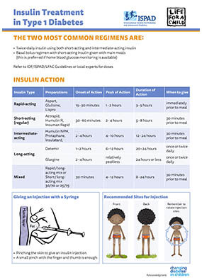 Insulin Treatment in Type 1 Diabetes